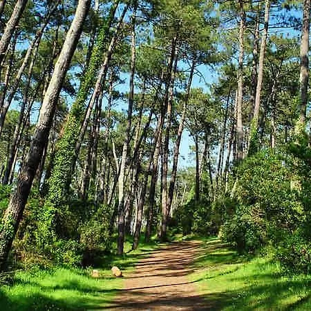 Petit Cocon Basque * Anglet