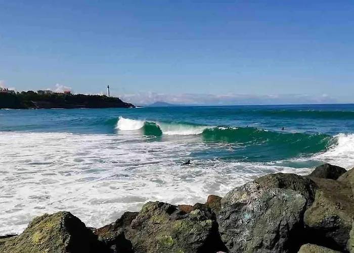 Petit Cocon Basque Anglet