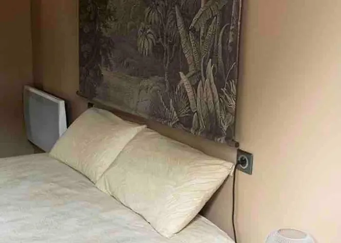 Petit Cocon Basque Appartement