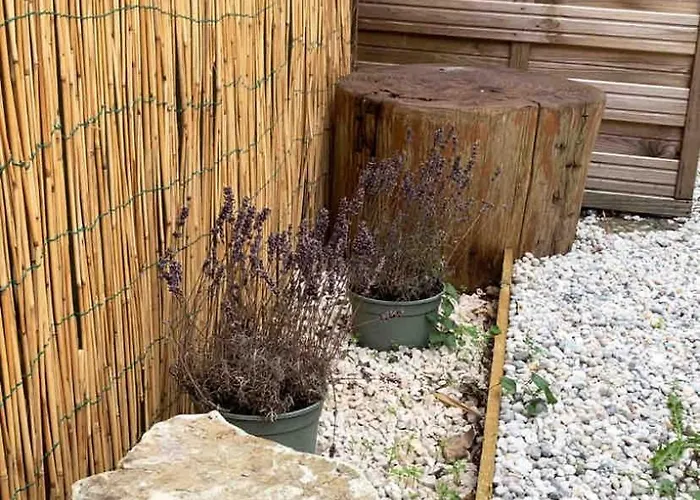 Petit Cocon Basque Appartement *